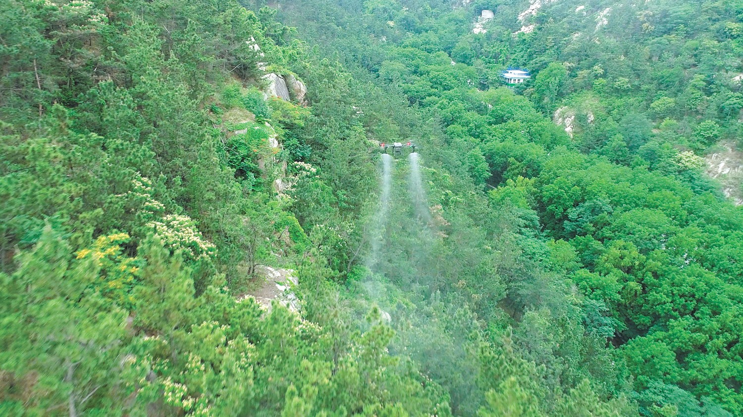 我国松材线虫病实现可防可控