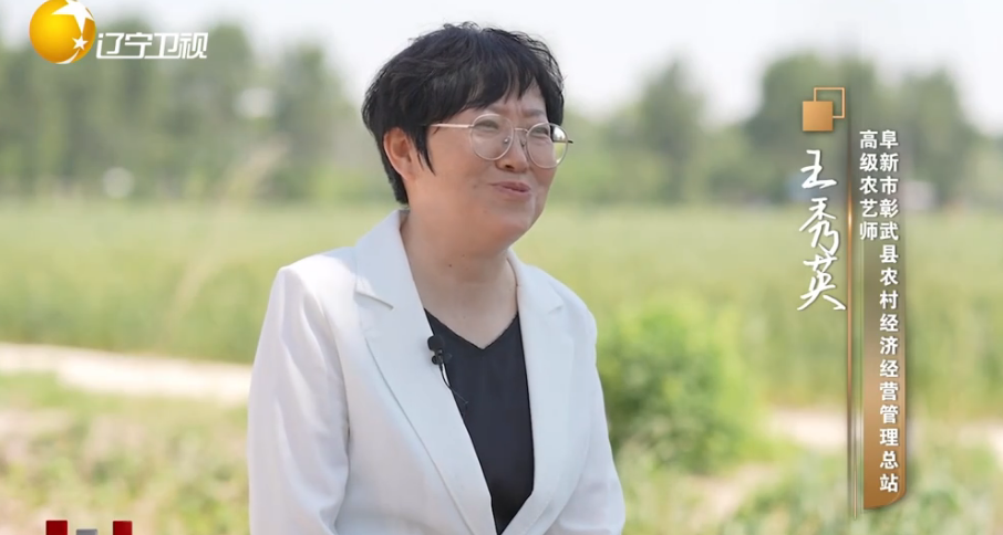 对话王秀英：紧握绿色“接力棒” 把风沙地变成希望田