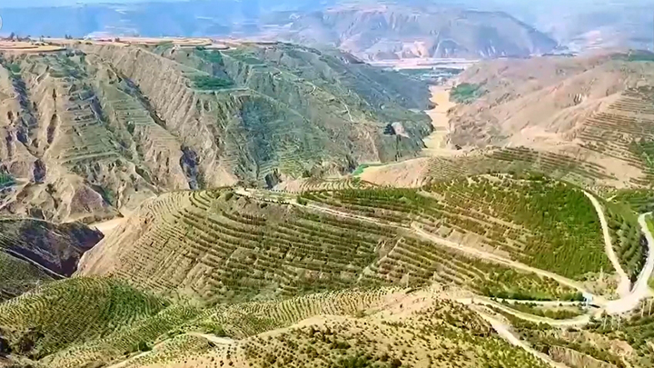新华访谈丨治沙，中国是做得最好的！