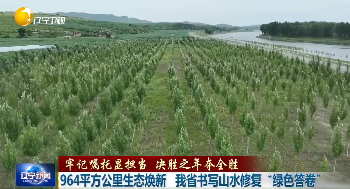 964平方公里生态焕新 我省书写山水修复“绿色答卷”