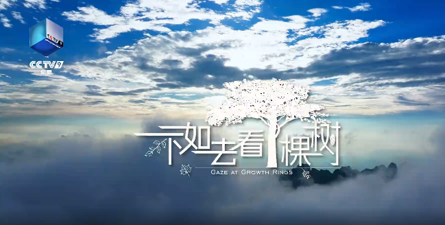 嘘，4000多岁的古树在说话