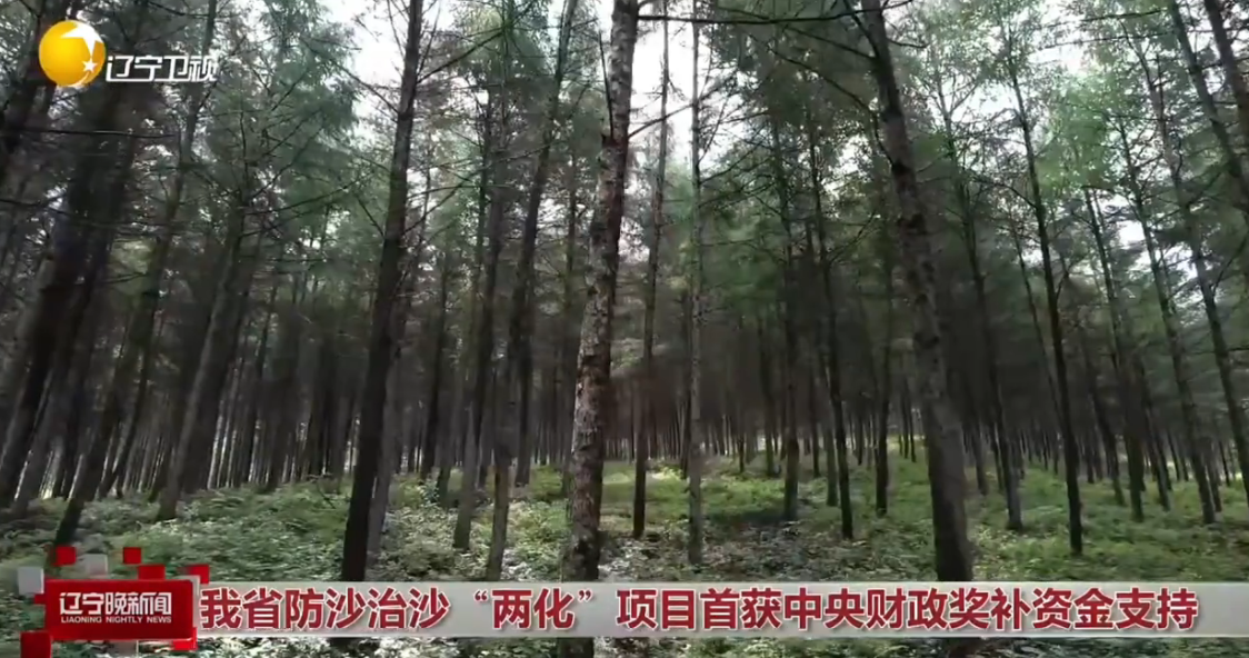 我省防沙治沙“两化”项目首获中央财政奖补资金支持