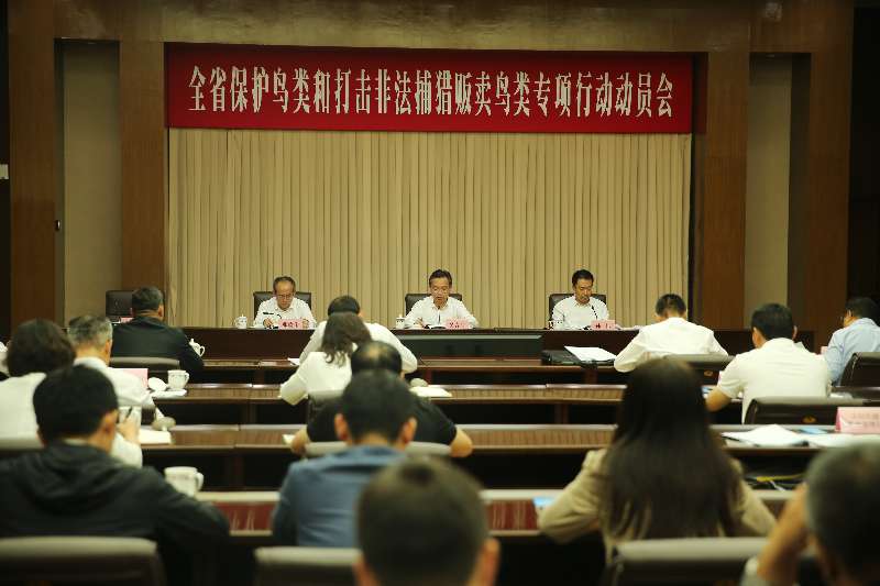 辽宁：奋力打好打赢鸟类保护攻坚战