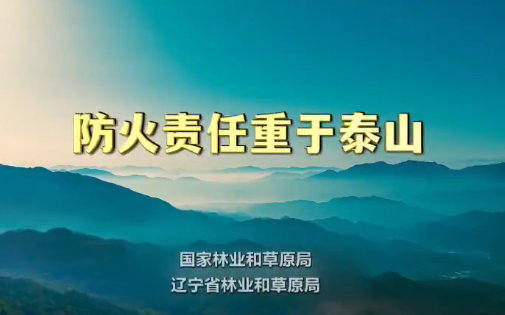 护林防火 人人有责