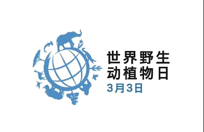 3月3日，世界野生动物日