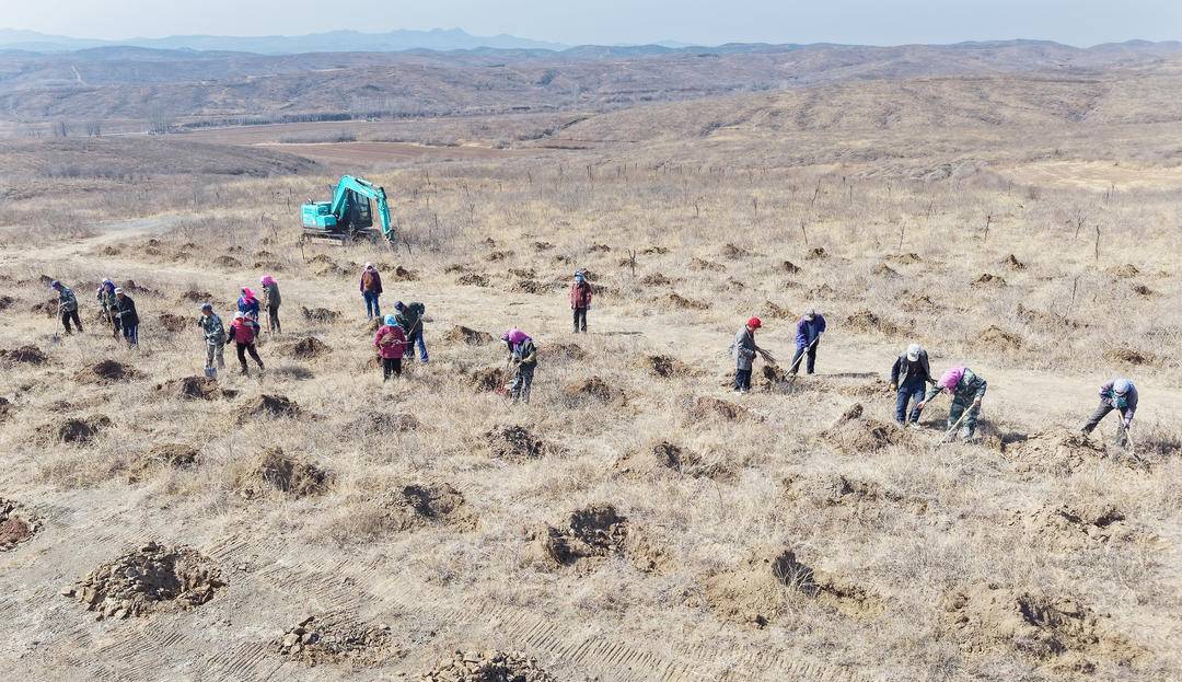 这件连续干了45年的事，为何如此重要？