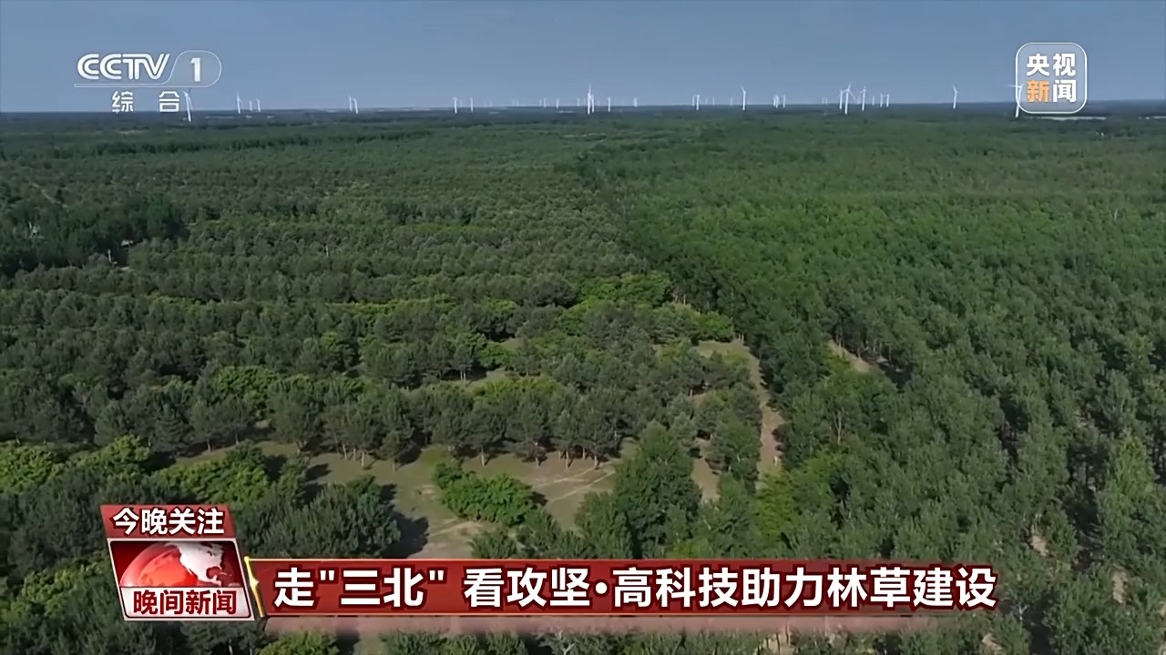 辽宁彰武：高科技破解樟子松生长“密码”